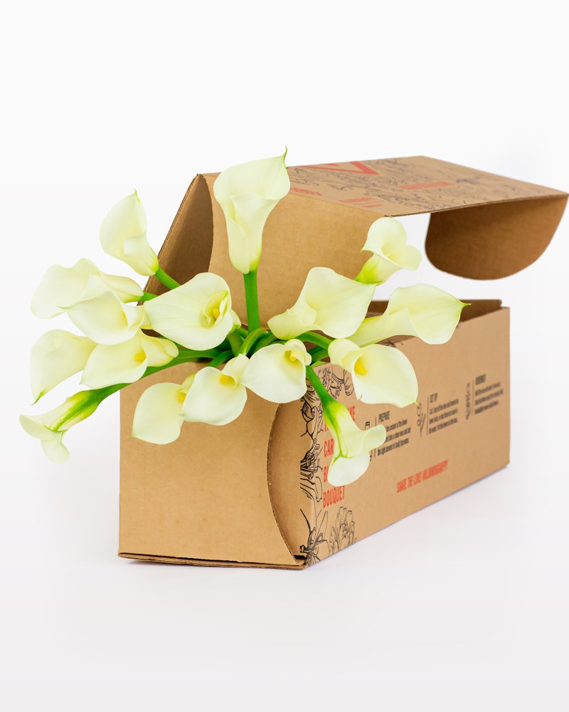 A bouquet of white calla lilies elegantly presented in a partially opened cardboard box on a white background, symbolizing a fresh floral delivery.