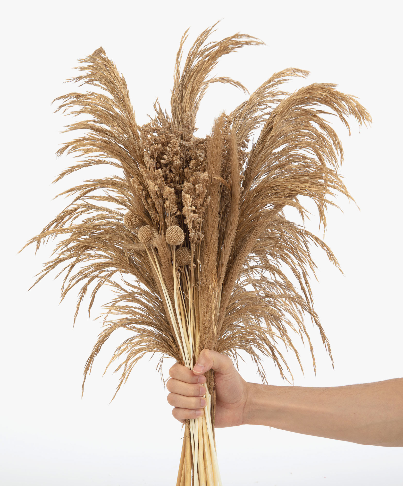 A beautiful dried flower bouquet featuring pampas grass and unique blooms, ideal for home decor.