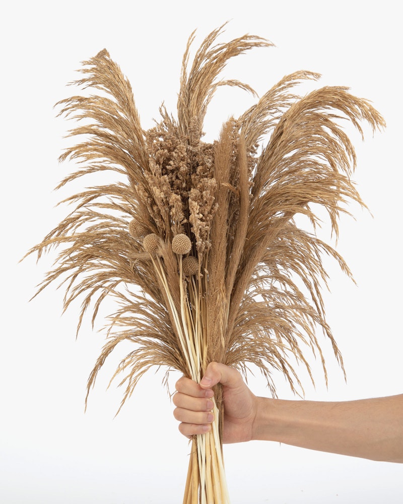 Hand holding a bouquet of dried decorative grasses and flowers against a white background, suitable for rustic home decor or natural floral arrangements.