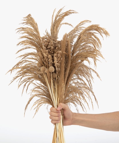 A beautiful dried flower bouquet featuring pampas grass and unique blooms, ideal for home decor.