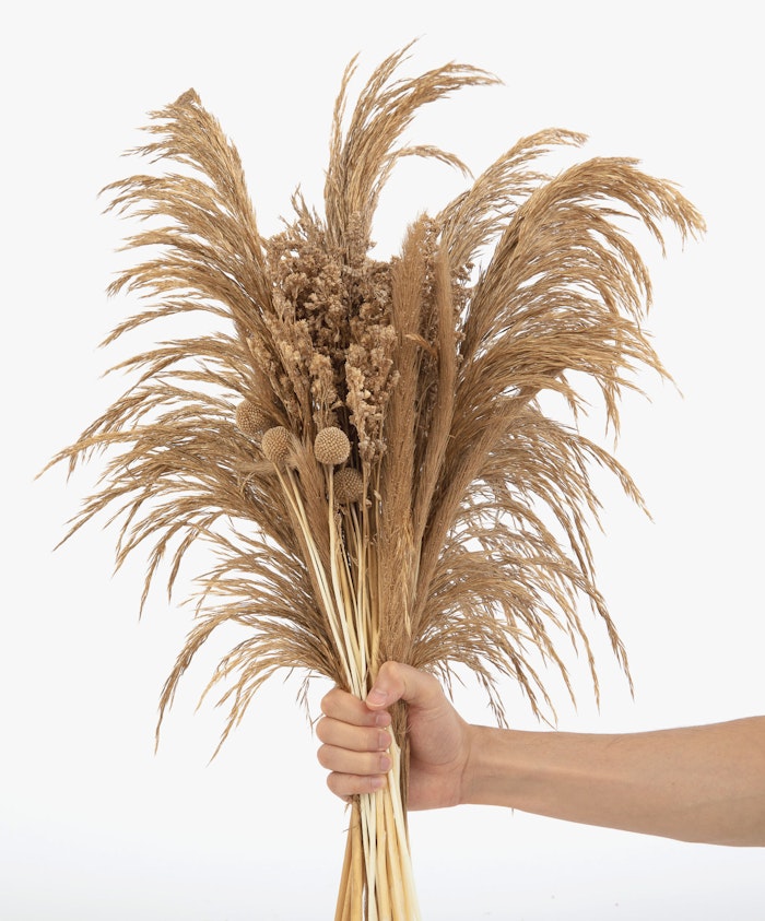 A beautiful dried flower bouquet featuring pampas grass and unique blooms, ideal for home decor.