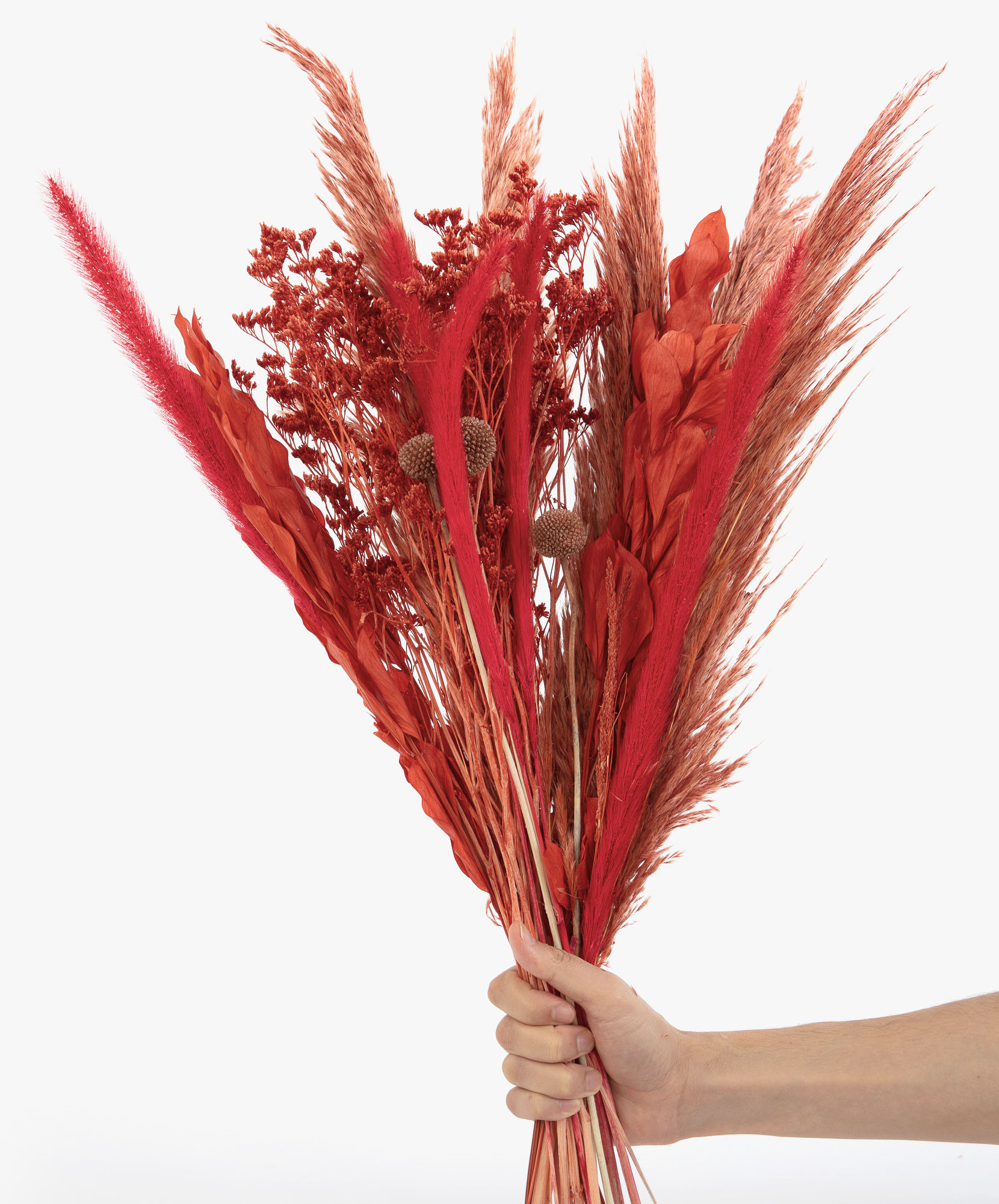 A vibrant arrangement of dried red flowers and grasses held in a hand, perfect for home decor.