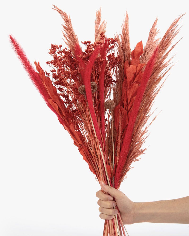 A person holds a vibrant bouquet of red dried pampas grass, flowers, and botanical elements, arranged artistically, against a white background.