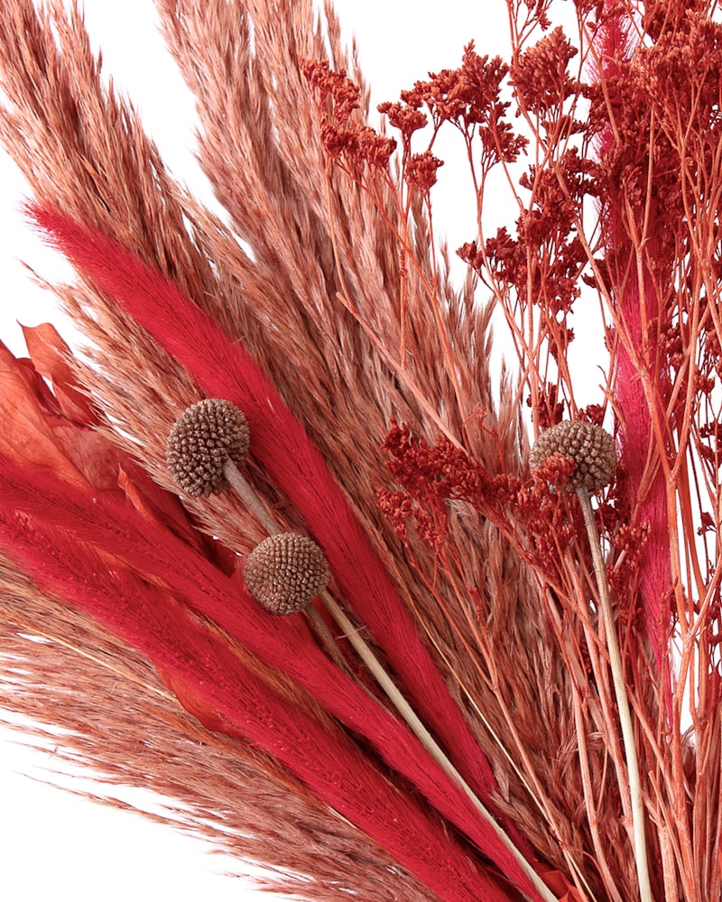 Close-up of a vibrant arrangement featuring red and natural-toned dried floral elements including fluffy pampas grass, red leaves, and brown seed pods.