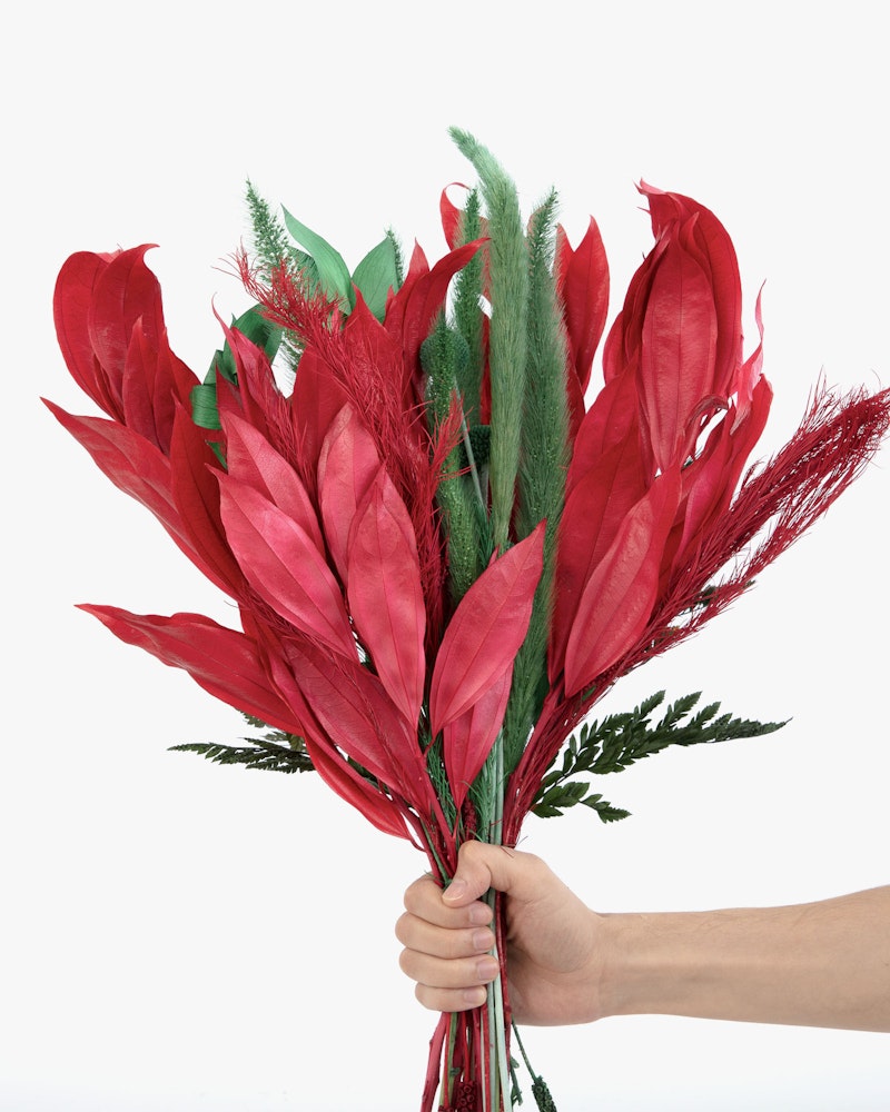 A person's hand holding a vibrant bouquet of red feathers and leaves with a few green and white accents, isolated against a white background.