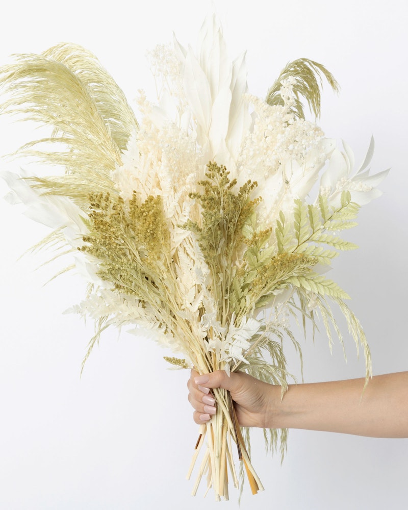 Person holding a bouquet of dried flowers including white feathers, pampas grass, and other textured botanicals against a clean white background.