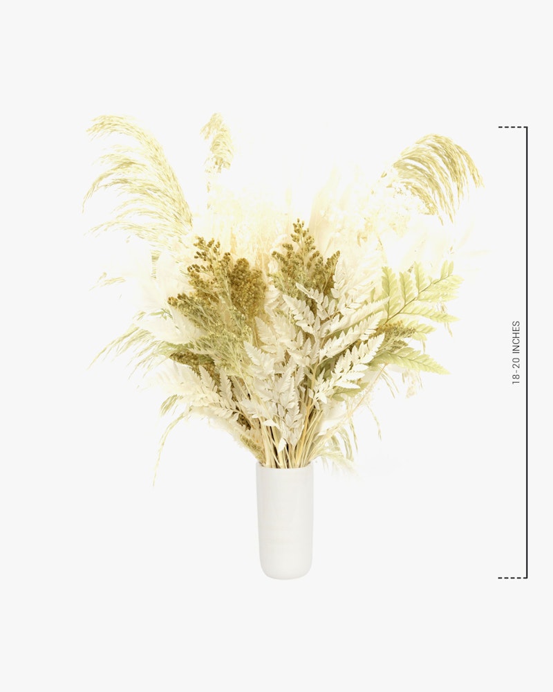 Aesthetic arrangement of dried pampas grass and assorted botanicals in a minimalist white vase against a clean, neutral background, with a height scale on the right side.