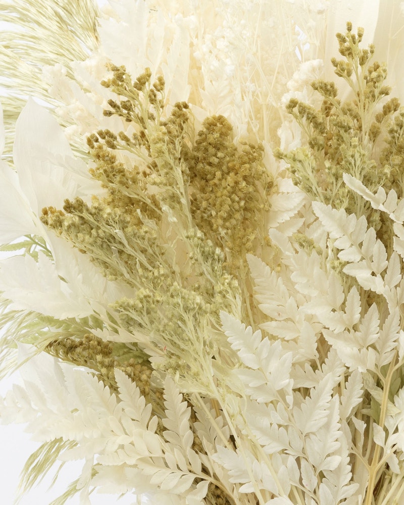 Vintage-style floral arrangement featuring a delicate assortment of dried flowers and wheat in soft, creamy hues set against a pale, neutral background.