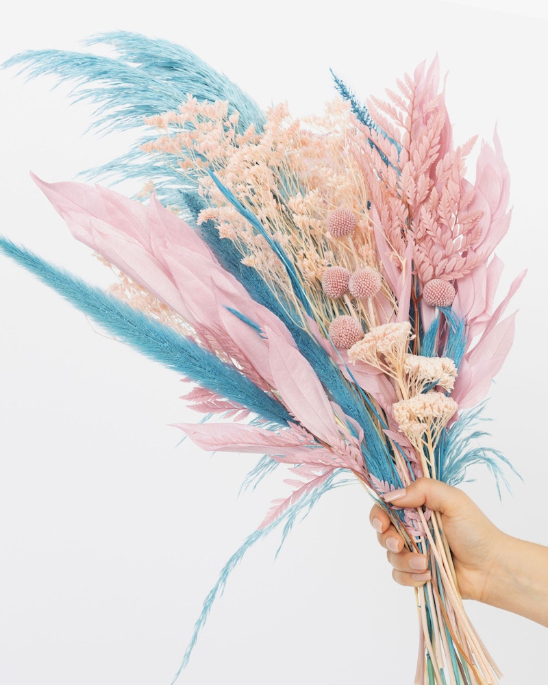 Hand holding a colorful bouquet of dried flowers and pampas grass with a mix of blue and pink tones against a white background.