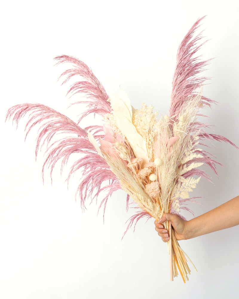 A person's hand holding a large, colorful bouquet of dried pampas grass and other decorative dried plants against a clean, white background.