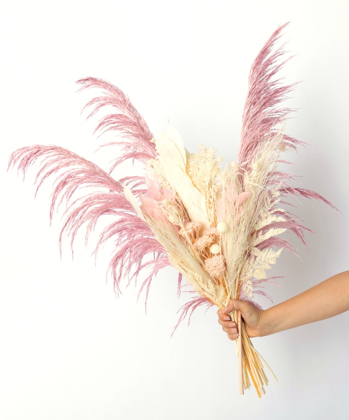 A delicate bouquet of dried pink and cream pampas grass, elegantly arranged for a modern aesthetic.