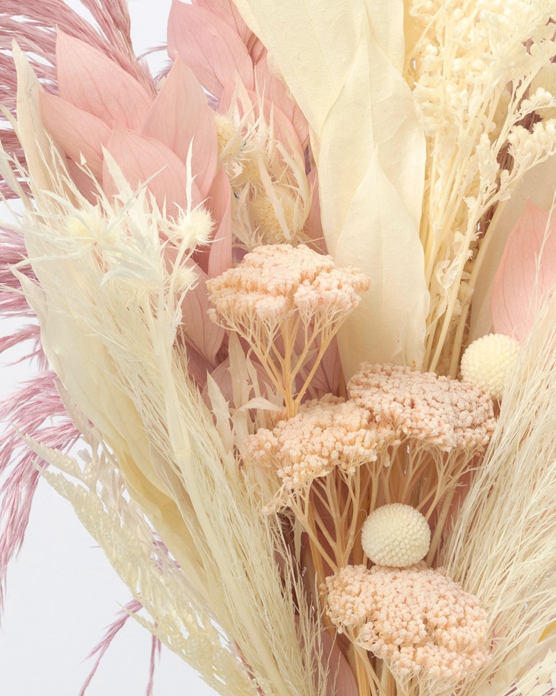A close-up view of a delicate dried flower arrangement featuring a pastel palette of pinks, yellows, and creams, with a variety of textures from feathery plumes to clustered blossoms.