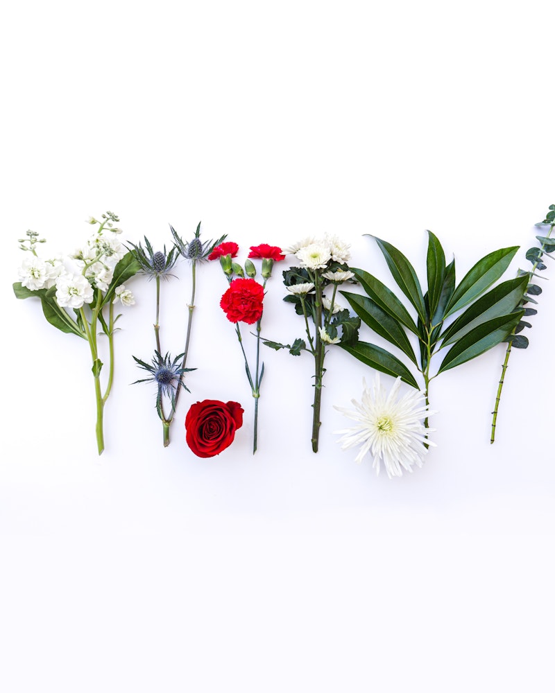 Assorted fresh flowers arranged in a row on a white background, featuring a mix of white, red, and burgundy blooms with varied green foliage.