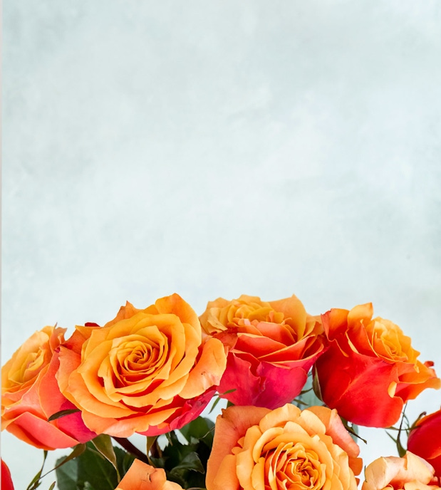 Vibrant orange and pink roses elegantly arranged against a soft blue backdrop.