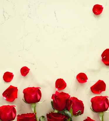 Vibrant red roses surrounded by delicate rose petals on a light marble background.