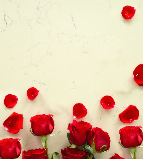 Vibrant red roses surrounded by delicate rose petals on a light marble background.