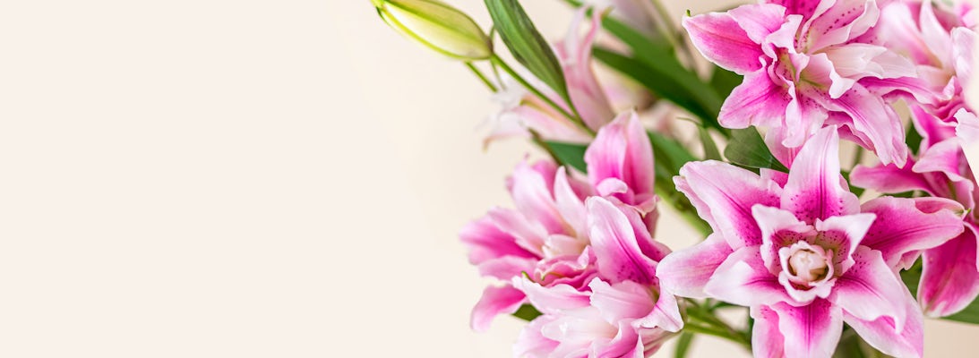 Charming pink lilies and blossoms arranged elegantly for special celebrations.