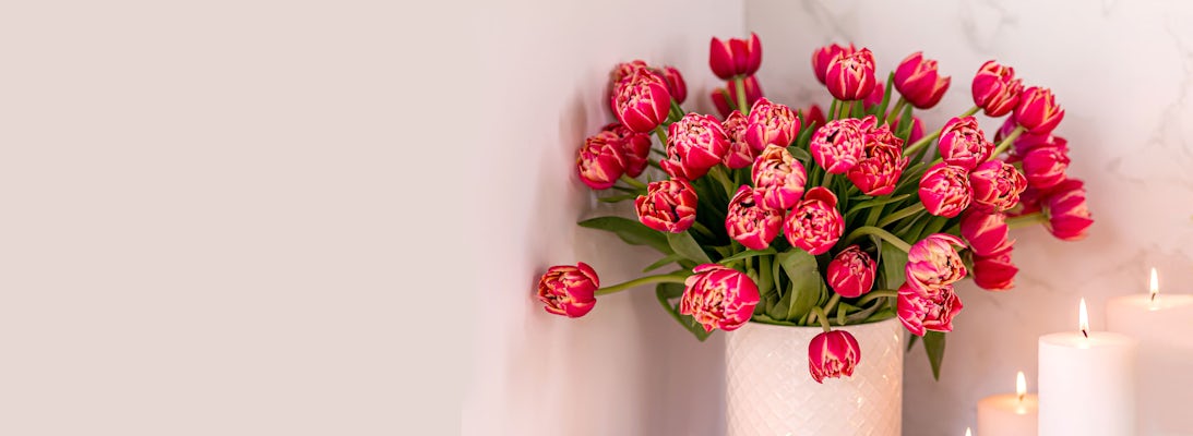 Vibrant bouquet of pink and red tulips in a white vase, accented by soft candlelight.