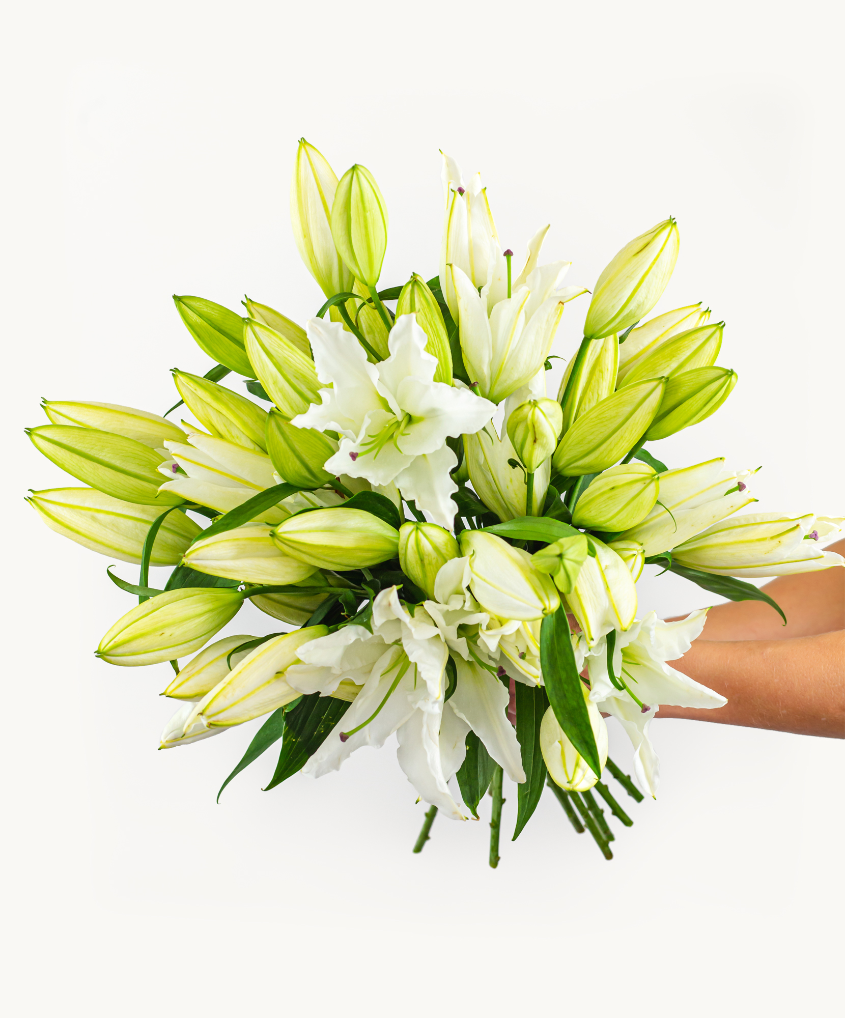 Elegant bouquet of creamy white lilies and green buds, perfect for any occasion.