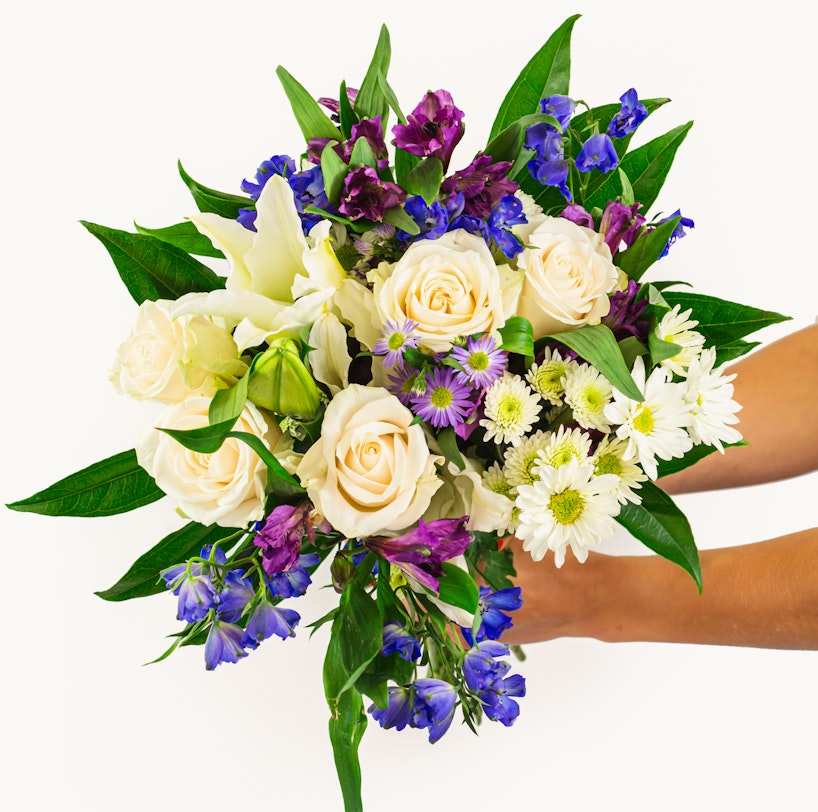 A vibrant bouquet of flowers held by a person against a white background, featuring cream roses, purple accents, and lush green foliage.