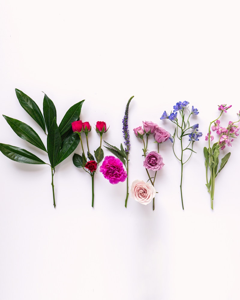 A variety of fresh flowers including green leaves, red poppies, purple blooms, pink roses, and blue wildflowers arranged in a row on a white background.