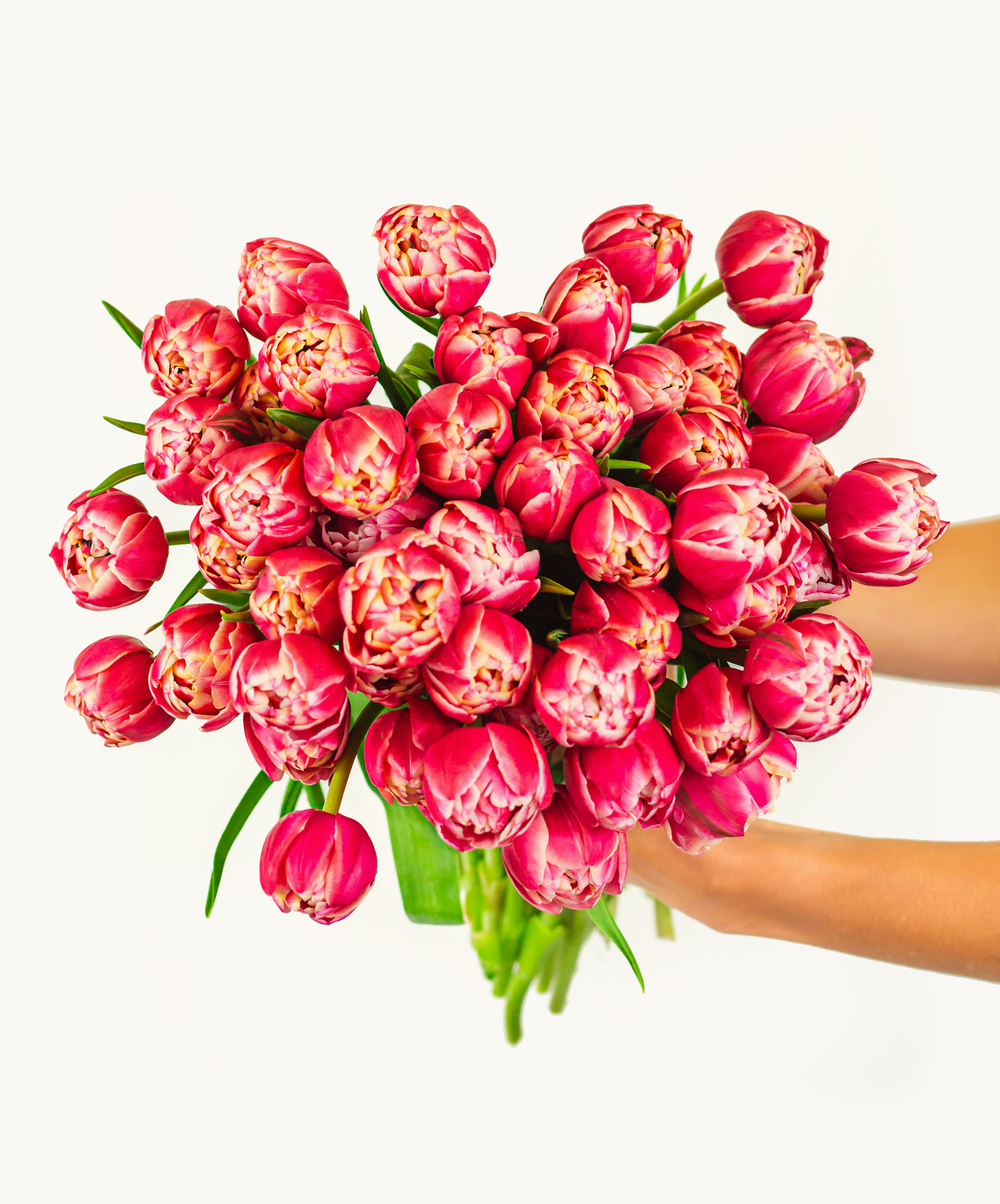 Tulip Bouquet Delivery BloomsyBox