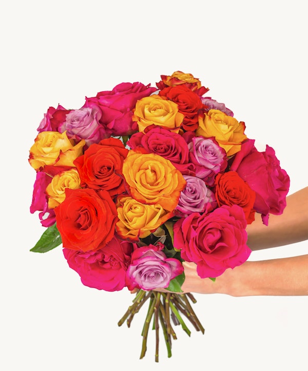 A vibrant bouquet of multi-colored roses including red, pink, orange, and yellow hues, held by a hand against a white background, symbolizing a diverse array of emotions and beauty.