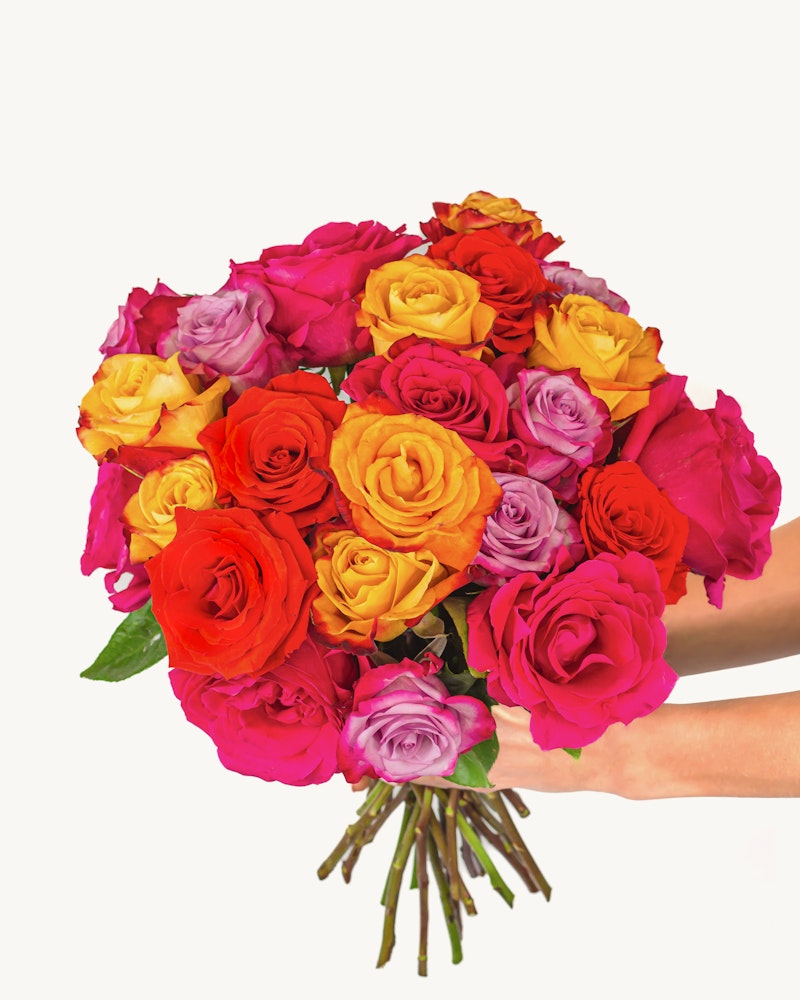 A vibrant bouquet of multi-colored roses including red, pink, orange, and yellow hues, held by a hand against a white background, symbolizing a diverse array of emotions and beauty.