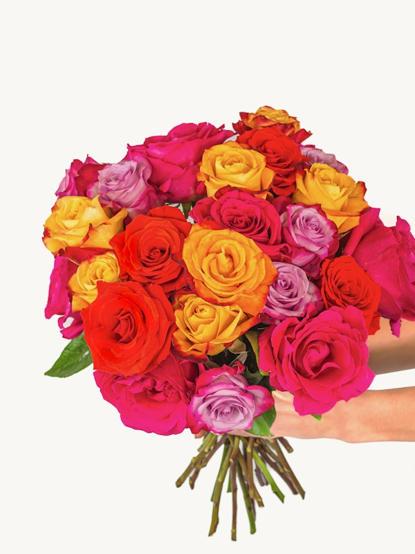 A vibrant bouquet of multi-colored roses including red, pink, orange, and yellow hues, held by a hand against a white background, symbolizing a diverse array of emotions and beauty.