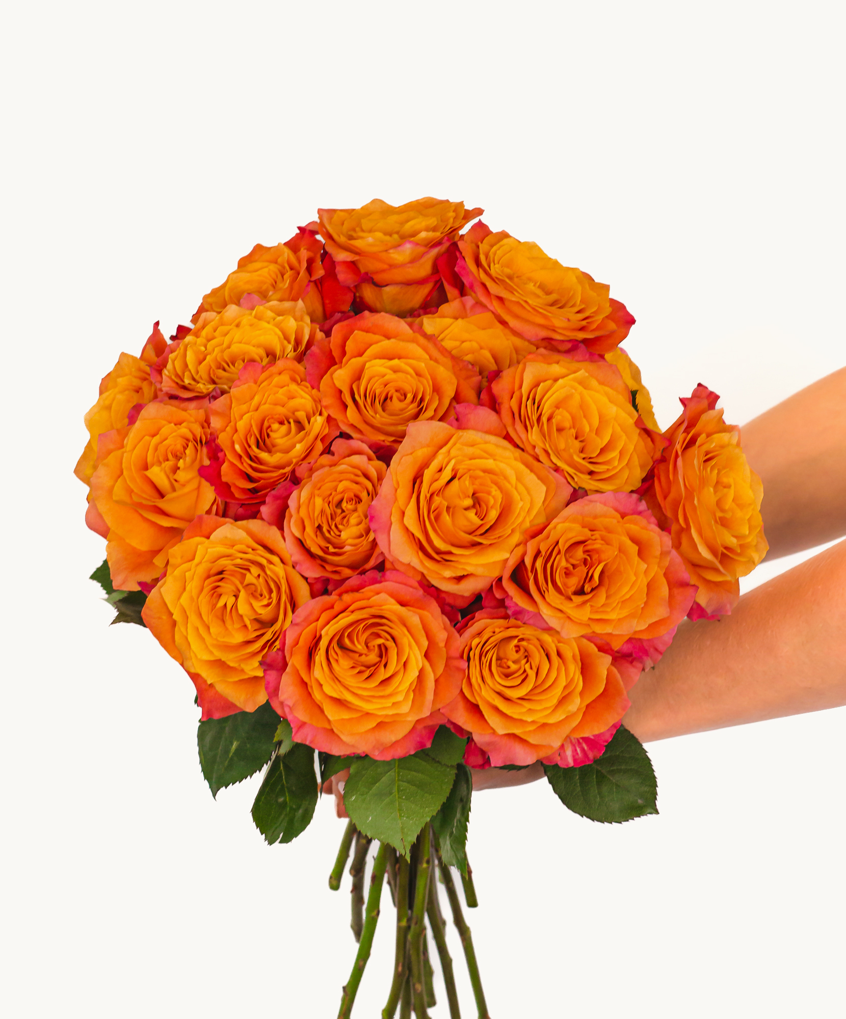 Bouquet of Roses Delivery Send Roses BloomsyBox