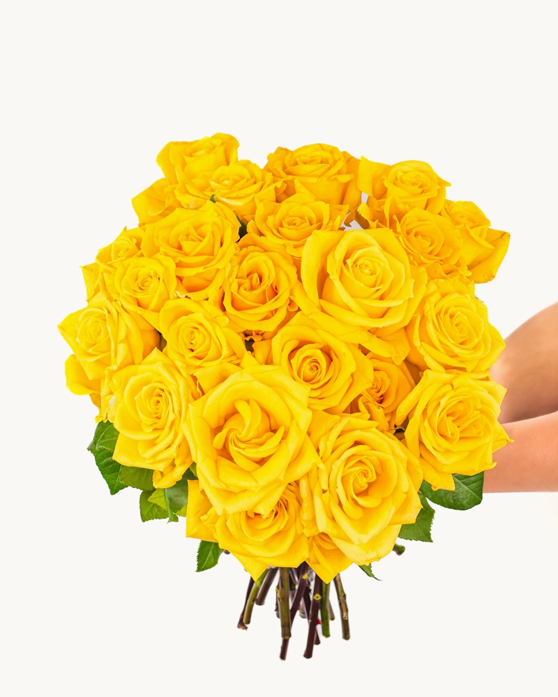 Yellow Roses | BloomsyBox.com