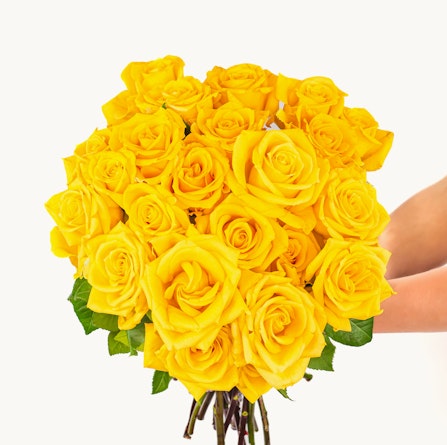 Vibrant bouquet of bright yellow roses held elegantly, perfect for celebrations and gifts.