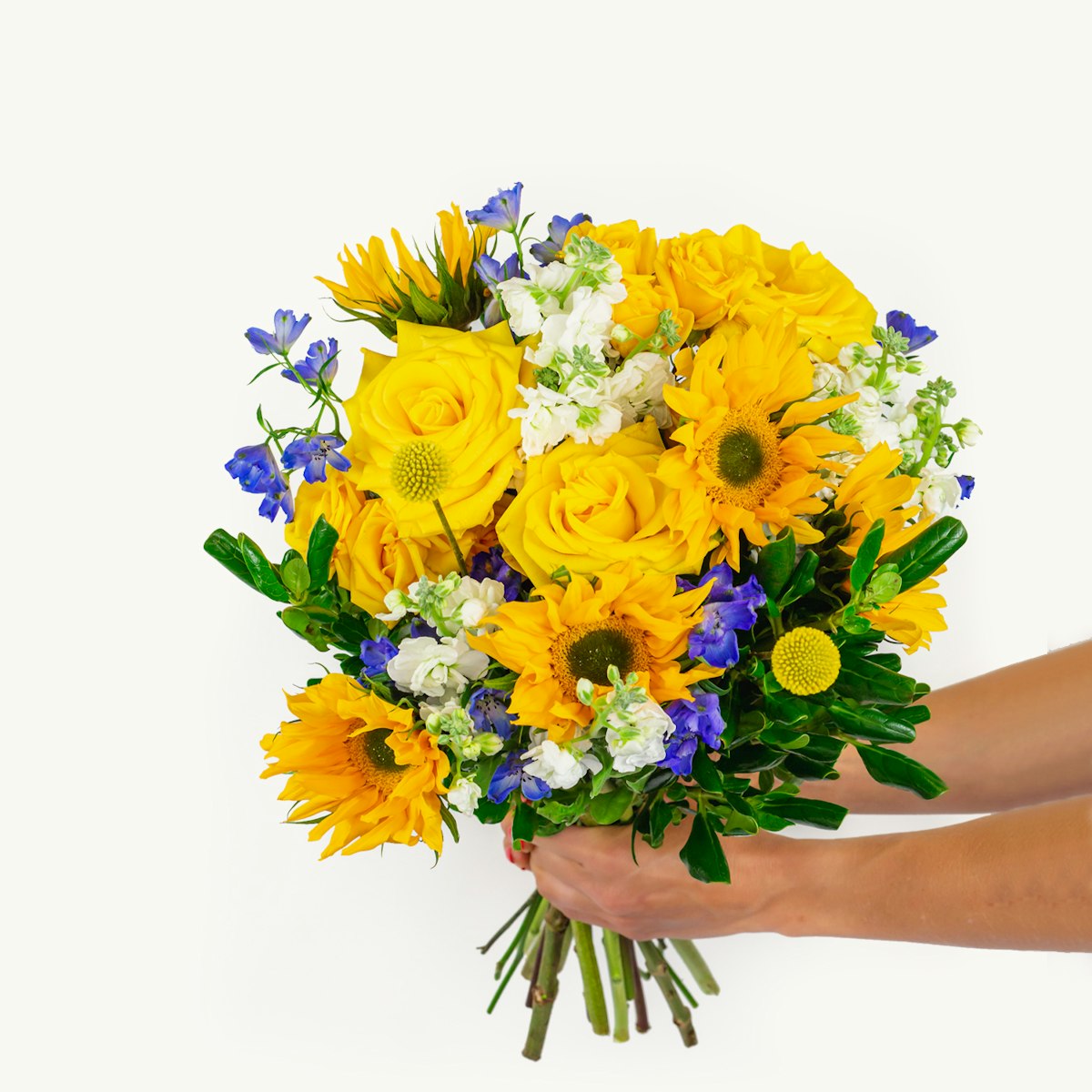 BloomsyBox Monthly Flower Subscription - 3 months