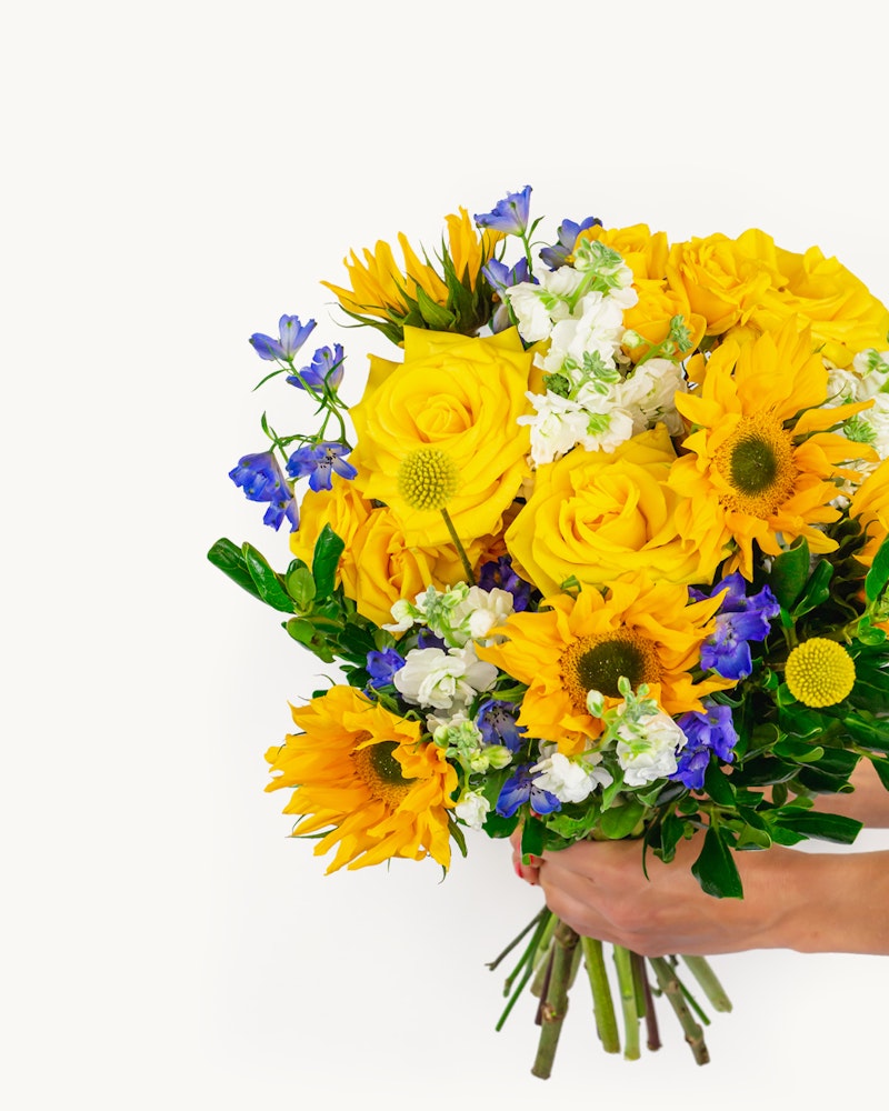 A person holding a vibrant bouquet of yellow sunflowers, blue flowers, and white blooms, with lush green leaves, against a white background.