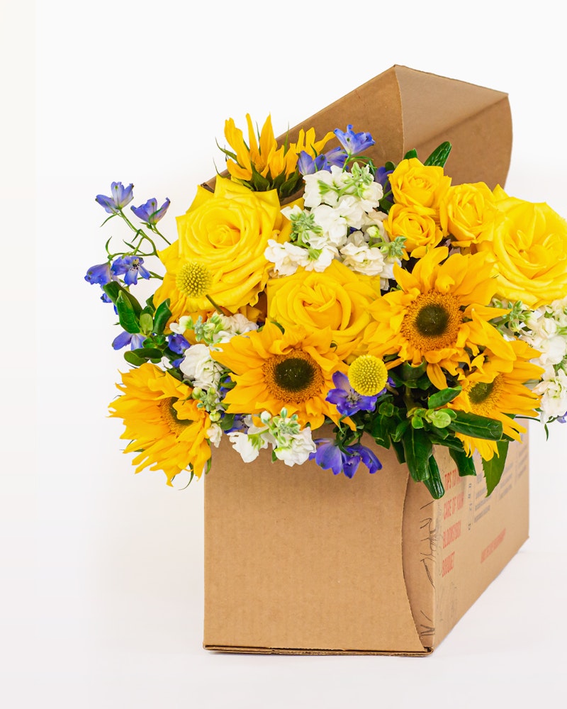 Vibrant bouquet of fresh yellow sunflowers, blue delphiniums, and white daisies in a cardboard box, ready for delivery against a clean white background.