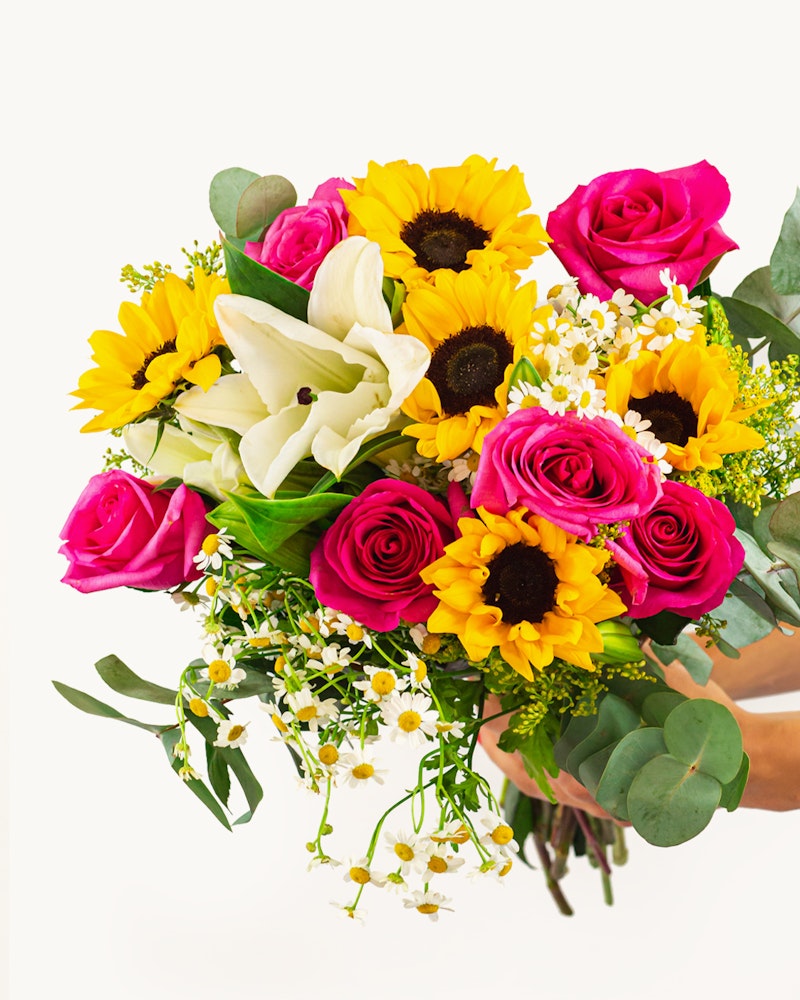 A vibrant bouquet with sunflowers, pink roses, white lilies, and baby's breath held by a person against a white background, showcasing a fresh and colorful floral arrangement.