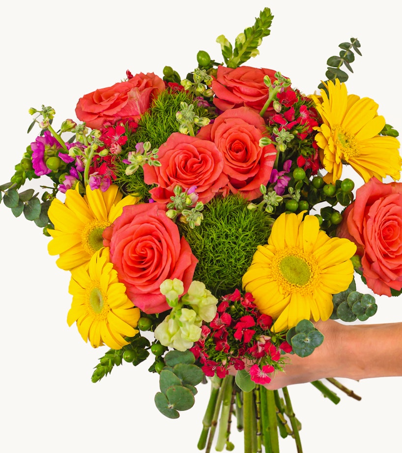 A vibrant bouquet of flowers with red roses, yellow gerberas, green foliage, and pink blossoms, cradled in someone's hands against a white background.