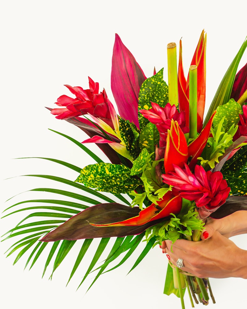 Vibrant tropical bouquet with red ginger flowers, ti leaves, and other exotic foliage held by a person against a white background, showcasing lush, colorful flora.