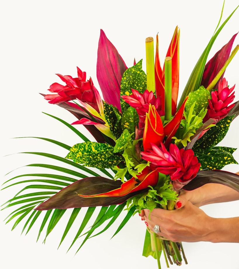 Vibrant tropical bouquet with red ginger flowers, ti leaves, and other exotic foliage held by a person against a white background, showcasing lush, colorful flora.