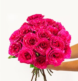 Vibrant bouquet of hot pink roses being held, showcasing elegance and beauty.