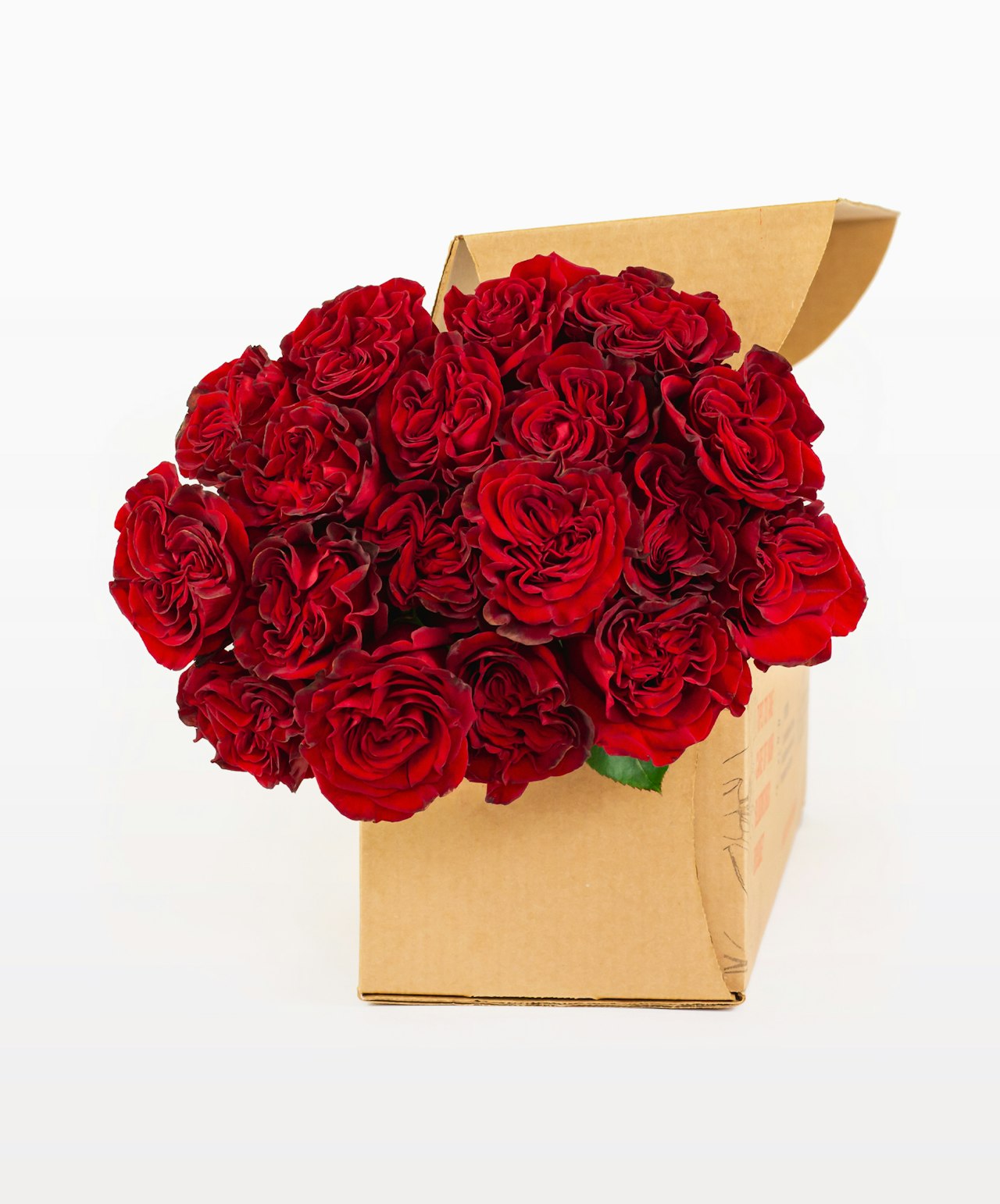 Vibrant red roses elegantly arranged in a classic gift box, perfect for any occasion.