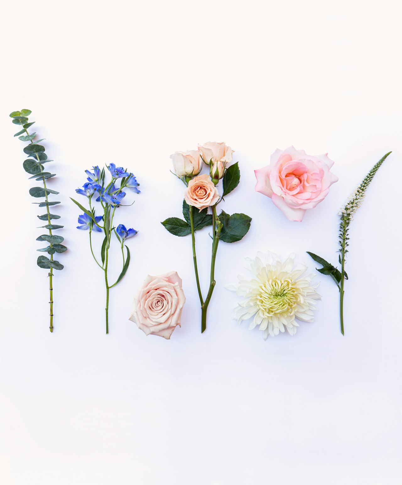 A beautiful arrangement of pastel flowers, including roses and eucalyptus, on a clean backdrop.
