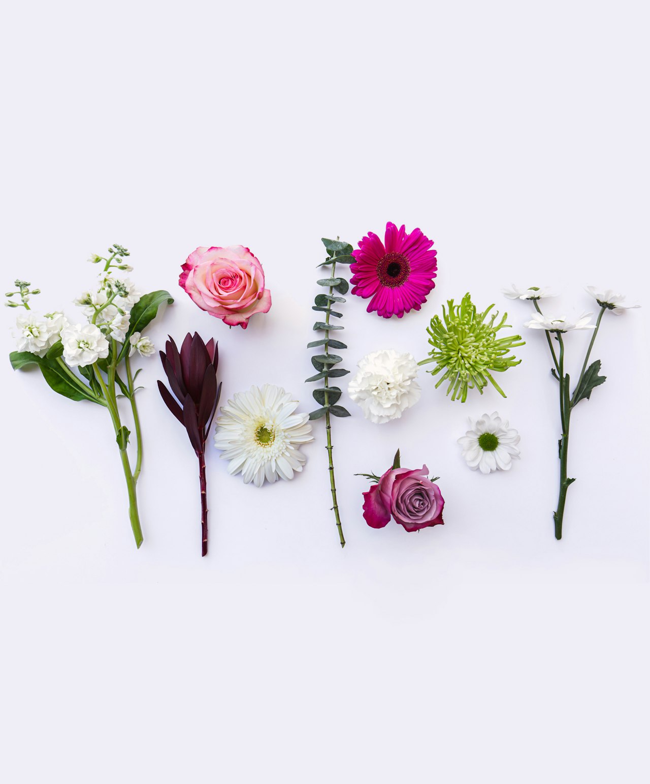 A vibrant arrangement of assorted flowers including roses, gerberas, and daisies on display.