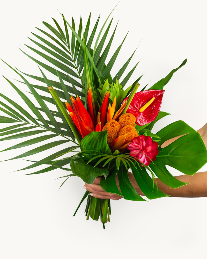 Two hands holding a vibrant tropical bouquet with green palm leaves, red anthuriums, orange heliconias, and pink blooms against a white background.