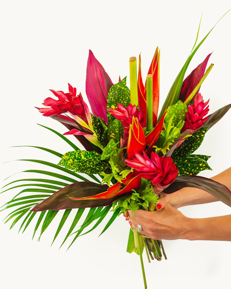 A vibrant tropical bouquet featuring red ginger flowers, heliconias, and green foliage held in a person's hands against a white background, showcasing a fresh, exotic arrangement.