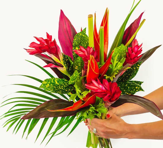 Vibrant tropical bouquet featuring pink ginger flowers, lush green leaves, and dramatic red accents.
