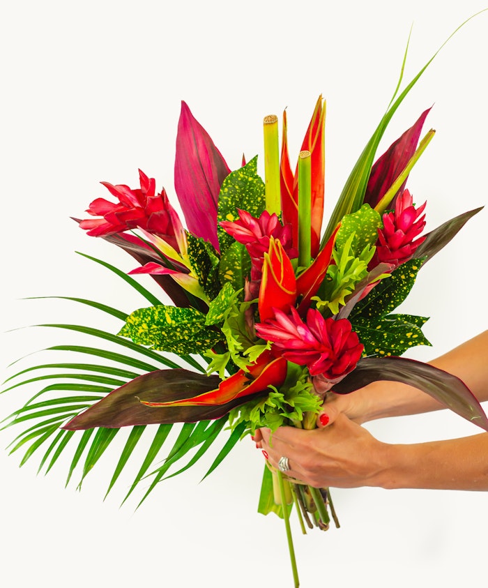 Vibrant tropical bouquet featuring pink ginger flowers, lush green leaves, and dramatic red accents.