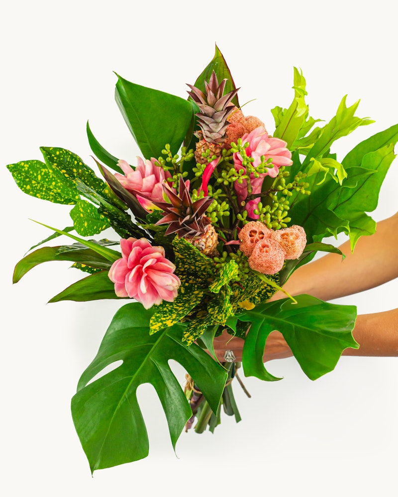 Vibrant tropical bouquet with pink flowers and green foliage held by hands against a white background, showcasing a fresh and exotic floral arrangement.