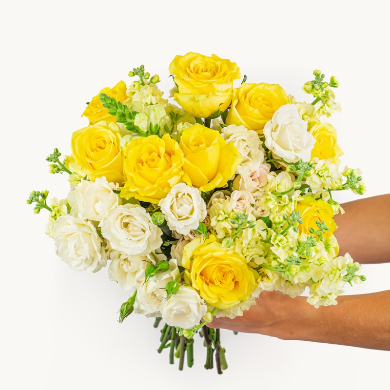 Two hands holding a vibrant bouquet of yellow and white roses mixed with delicate greenery, presented against a clean white background.