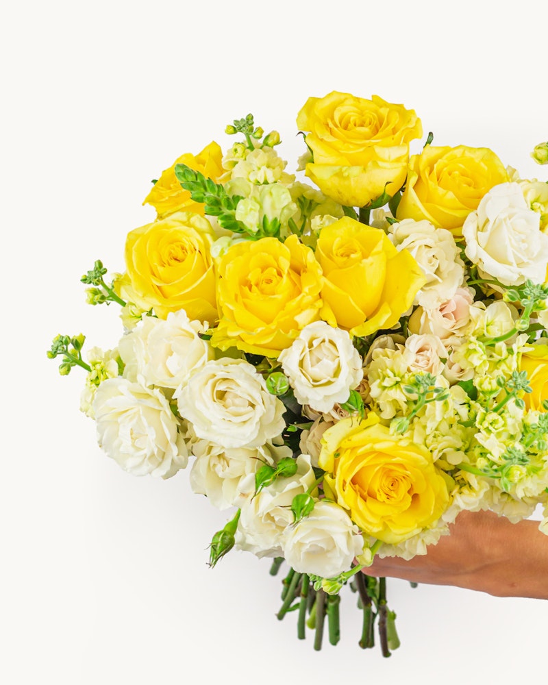Two hands holding a vibrant bouquet of yellow and white roses mixed with delicate greenery, presented against a clean white background.